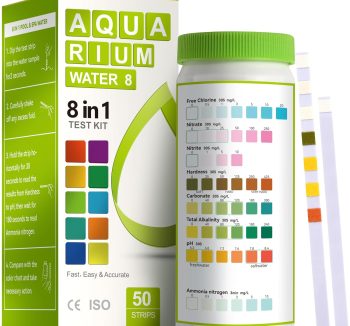 fish tank starter kit