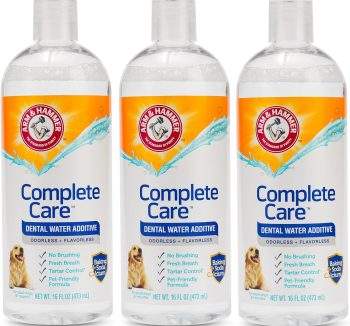 small pet health care