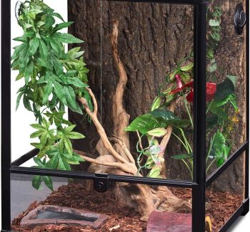 terrarium glass tank