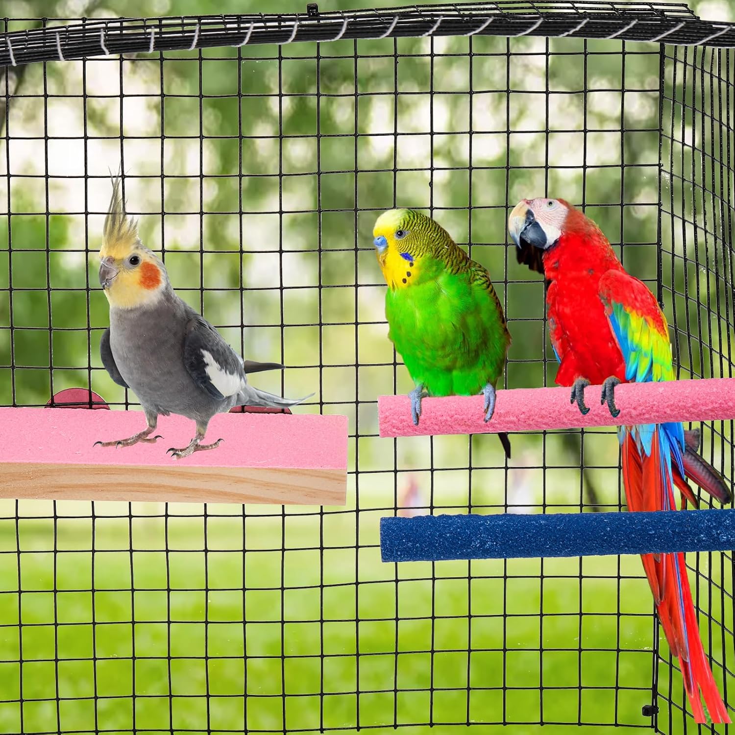 8 Pcs Bird Perch Stand Toy, Colorful Wood Parrot Perch Stand Platform Paw Grinding Stick, Bird Cage Accessories for Budgies,Parakeet,Cockatiel, Lorikeet, Conure - Happypetzone.online - Image 7