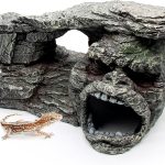reptile accessories amazon best