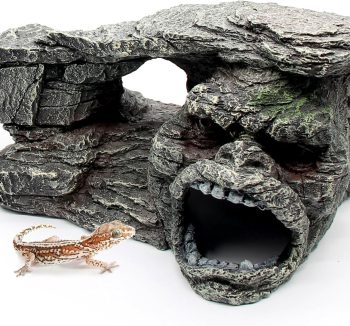 reptile accessories amazon best