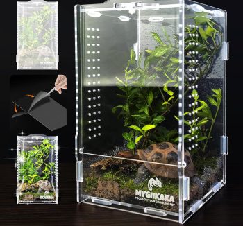 cheap reptile tank
