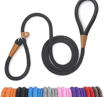dog leash training