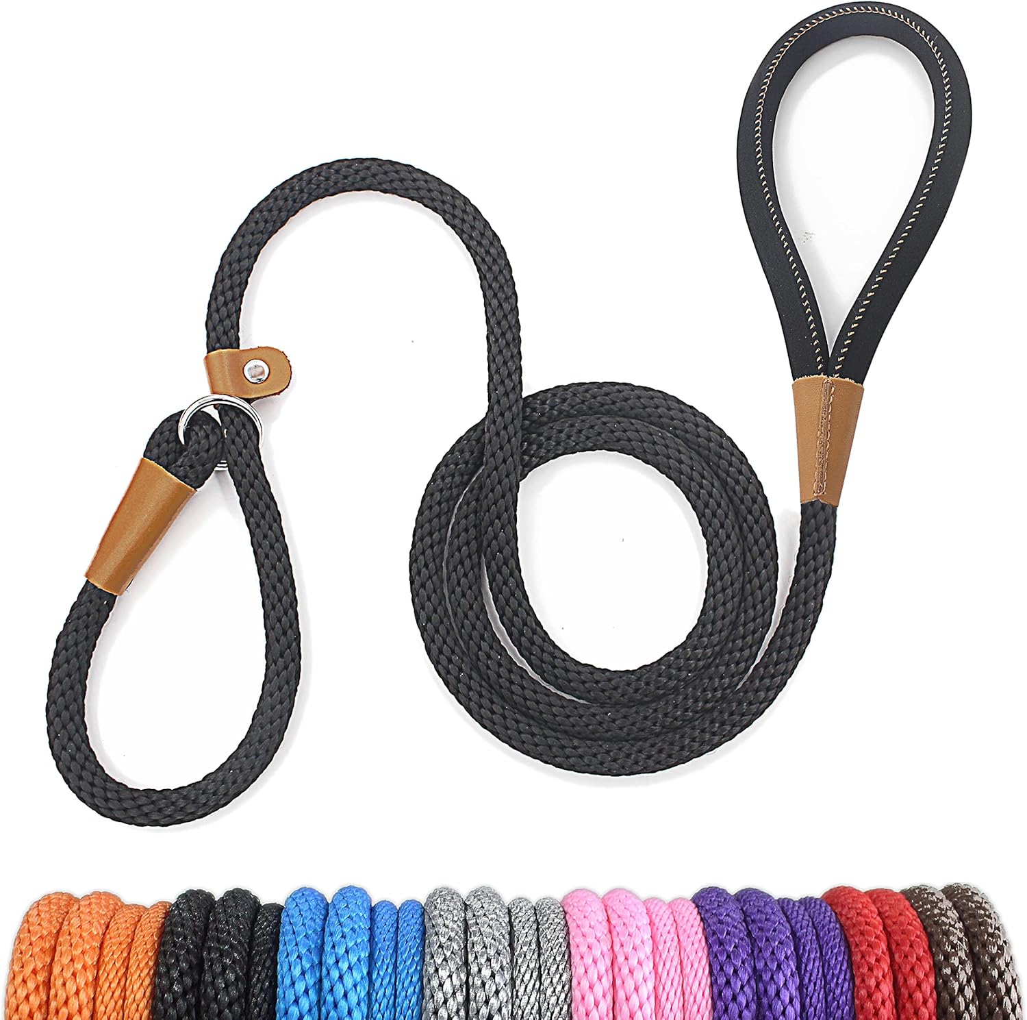 dog leash training