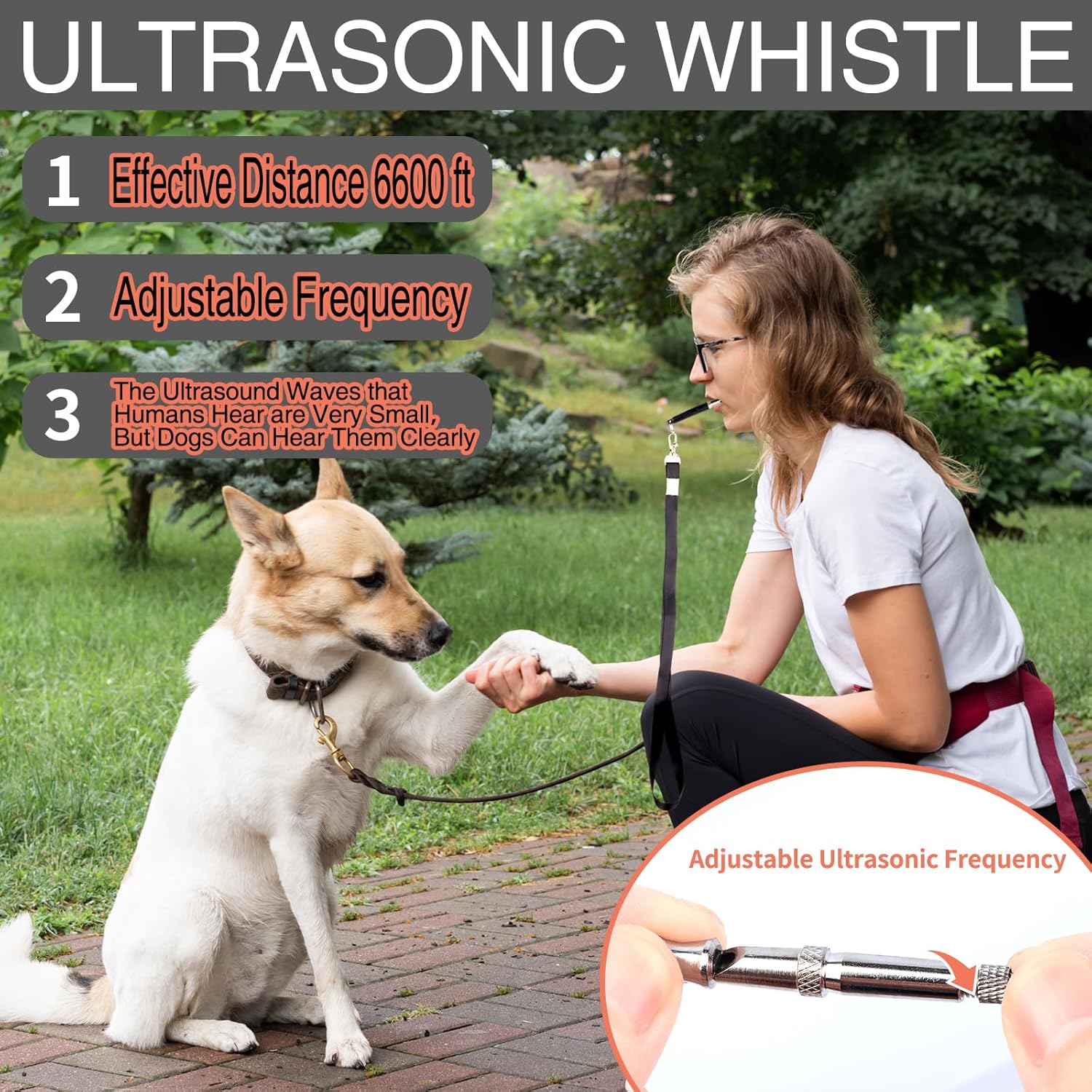 Dog Training Kit,Includes Pet Training Waist,Bag 2 Dog Training Clickers,Treat Pouch,Ultrasonic Silent Whistle,2 in 1 Whistle Clicker Clicker,Training Guide Booklet,2 Dog Poop Bags (Black) - Happypetzone.online - Image 5