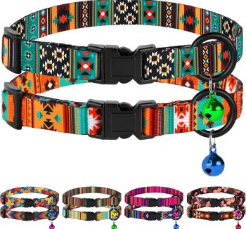 cat collar for kittens
