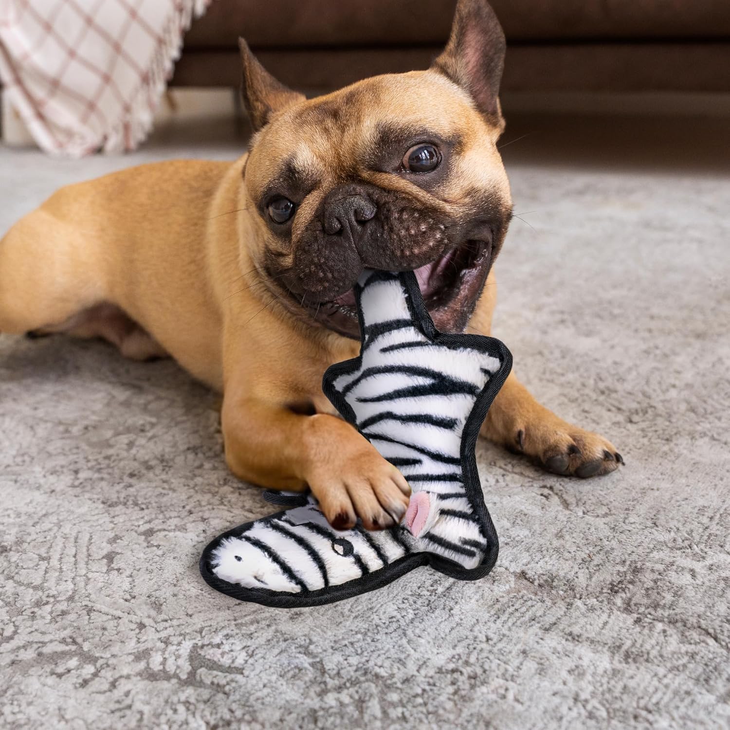 SHARLOVY No Stuffing Dog Toys Crinkle Squeaky, Long Lasting Chews for Aggressive, Durable Plush Dog Puppy Chew Toys for Teething, with 6 Tough Layers for Small Medium Large Breed - Happypetzone.online - Image 5