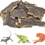 reptile natural habitat bedding