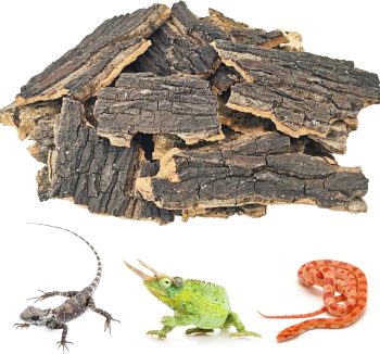 reptile natural habitat bedding