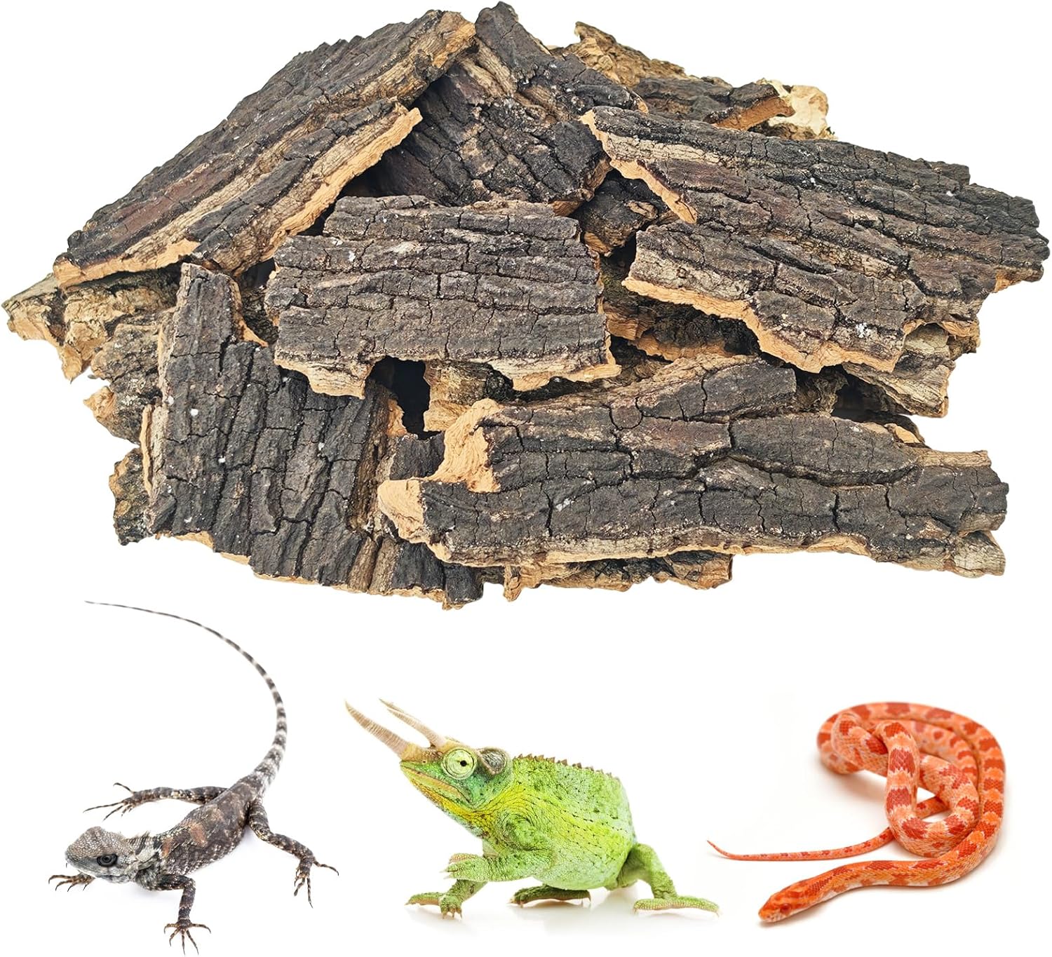 reptile natural habitat bedding