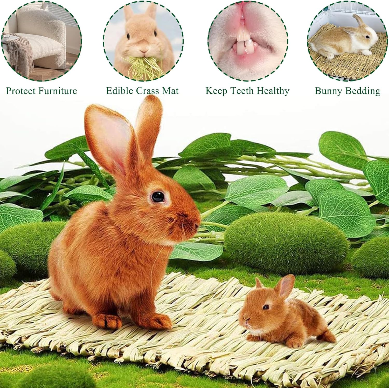 2 PCS Rabbit Grass Mats, Natural Straw Hay Woven Rabbit Bed Cage Mats Pet Handmade Bedding, Sleeping Chewing Nesting and Toys for Hamster Bunny Chinchilla Bird and Other Small Animal (2Pcs) - Happypetzone.online - Image 5