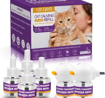 cat anxiety relief