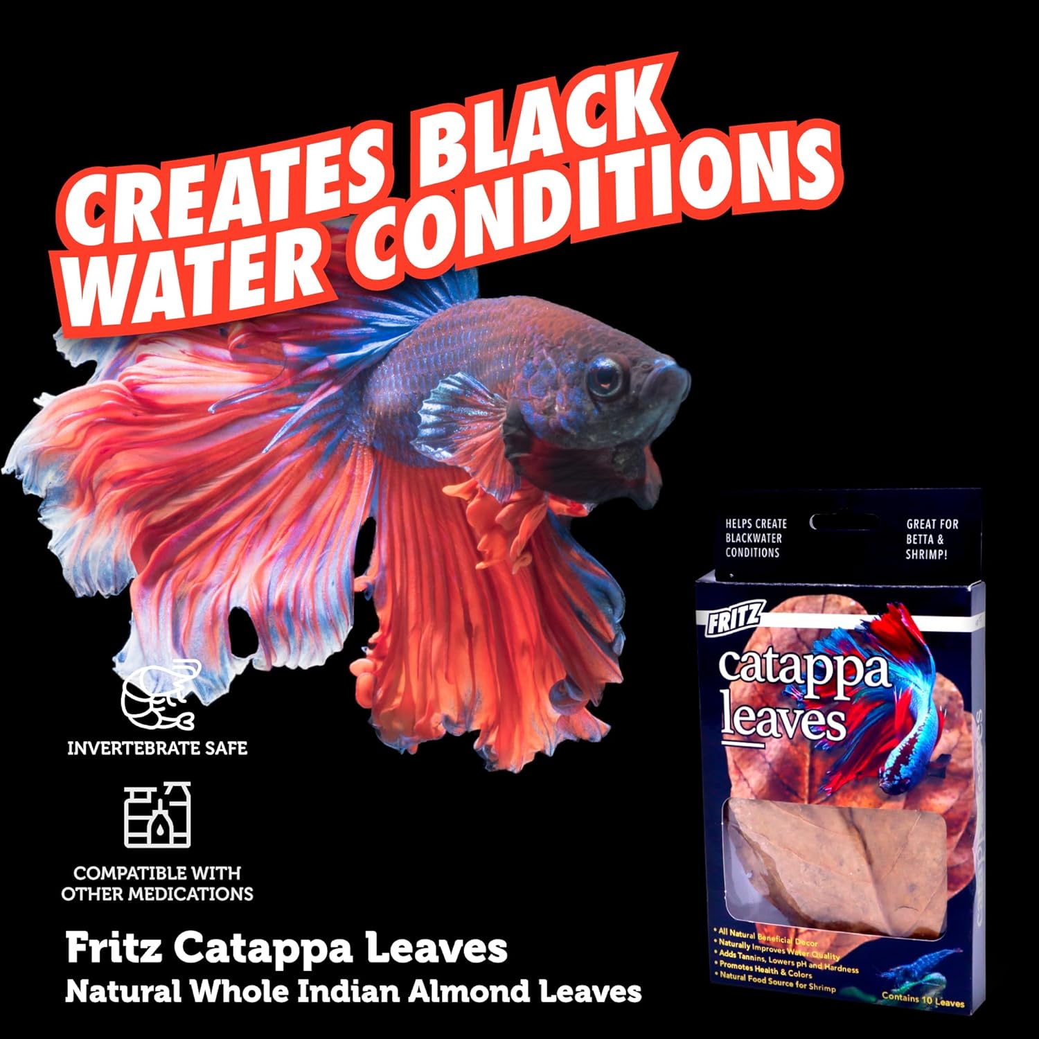 Fritz Catappa Leaves - Happypetzone.online - Image 5