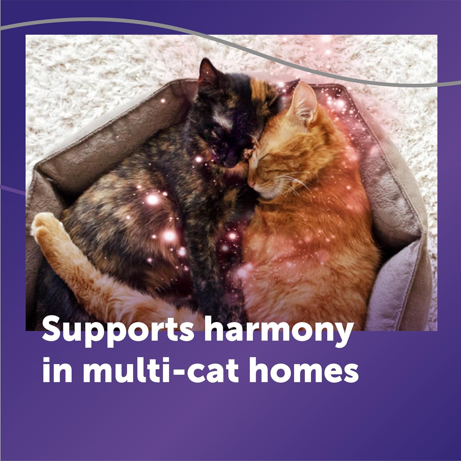 FELIWAY Optimum Cat Calming Diffuser Refill (1 Pack, 30 Day Supply) – Cat Pheromone Diffuser Refill for Advanced Support to Reduce Stress, Spraying, Scratching, Fighting and Hiding - Happypetzone.online - Image 4