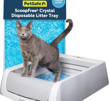 automatic litter box