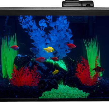 aquarium kit complete