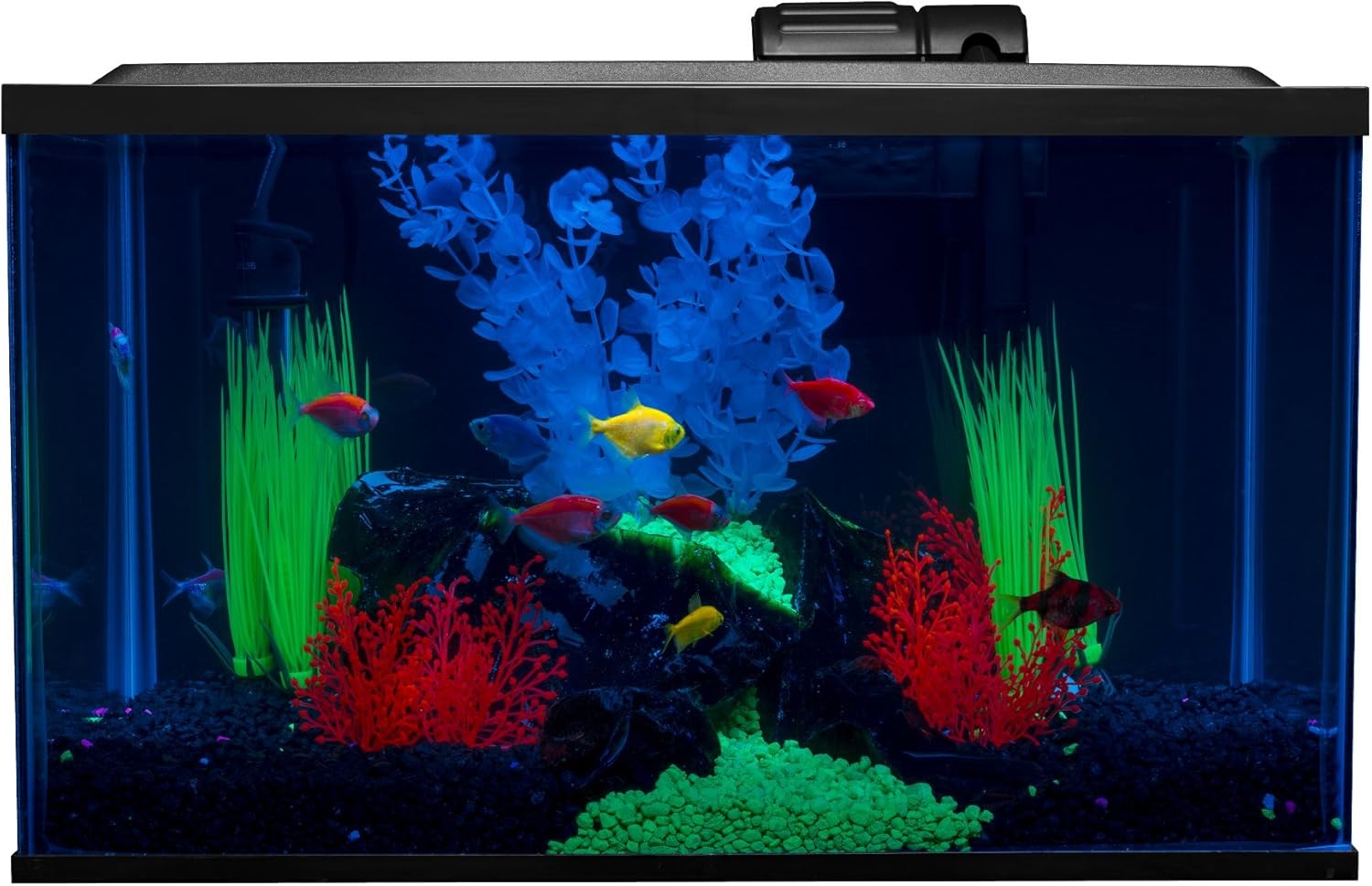 aquarium kit complete
