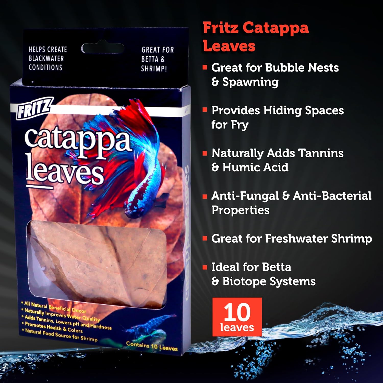 Fritz Catappa Leaves - Happypetzone.online - Image 2