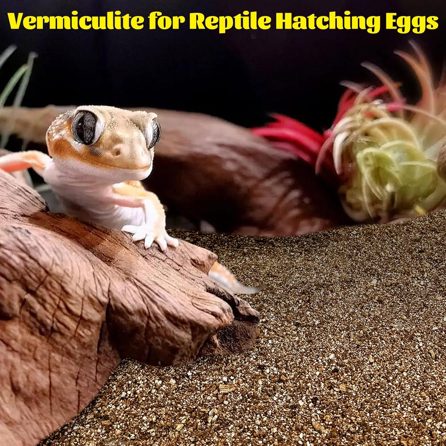 Hamiledyi Vermiculite for Incubating Reptile Eggs Terrarium Bedding Snake Habitat Substrate Reptile Bedding for Tortoise, Gecko, Ball Python, Salamander, Snake, Horned Frog(2Pack,0.87gal) - Happypetzone.online - Image 2