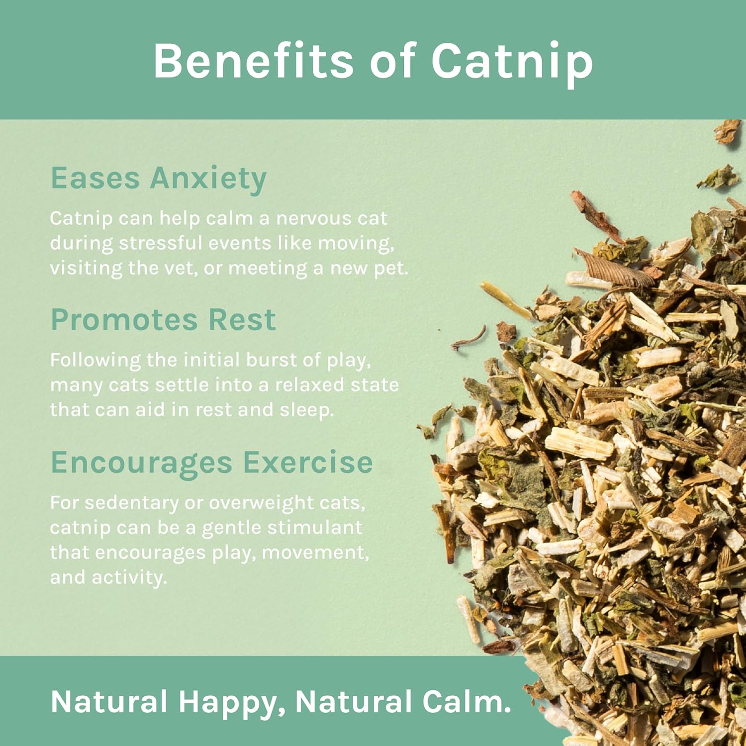 Kitty City Cat Premium Natural Catnip Collection, Catnip Bag 3-Pack - Happypetzone.online - Image 5