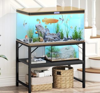 large fish tank 50 gallon