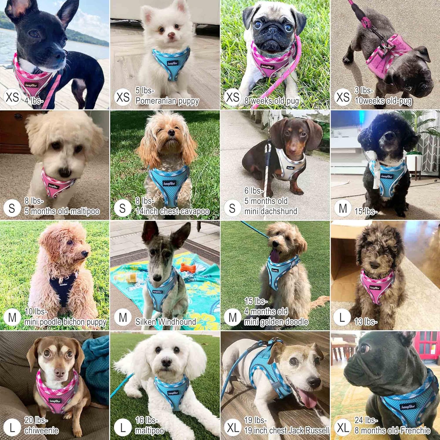 haapaw Dog Harness with Leash Set, No Pull Adjustable Reflective Step-in Puppy Harness with Thickened Padded Vest for Extra-Small/Small Medium Dogs - Happypetzone.online - Image 6