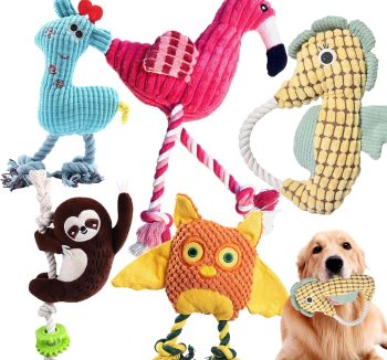 dog toy bundle set