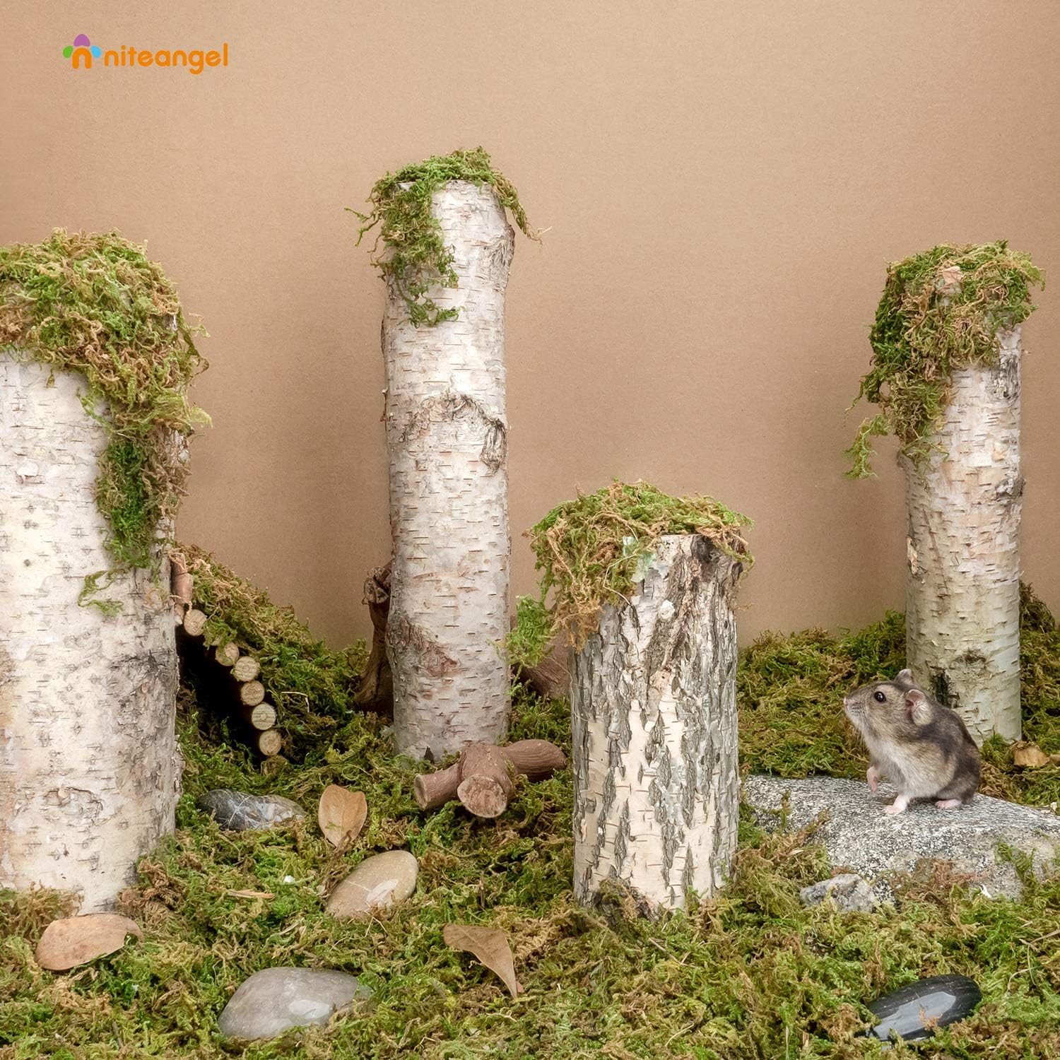 Niteangel 5L Forest Moss Soft Natural Moss Bedding Nesting for Dwarf Syrian Hamsters, Gerbils, mices, Degus or Other Small Animal - Happypetzone.online - Image 2