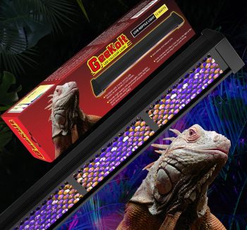 reptile light fixture