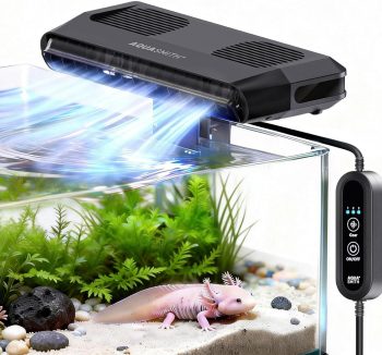 freshwater aquarium tank