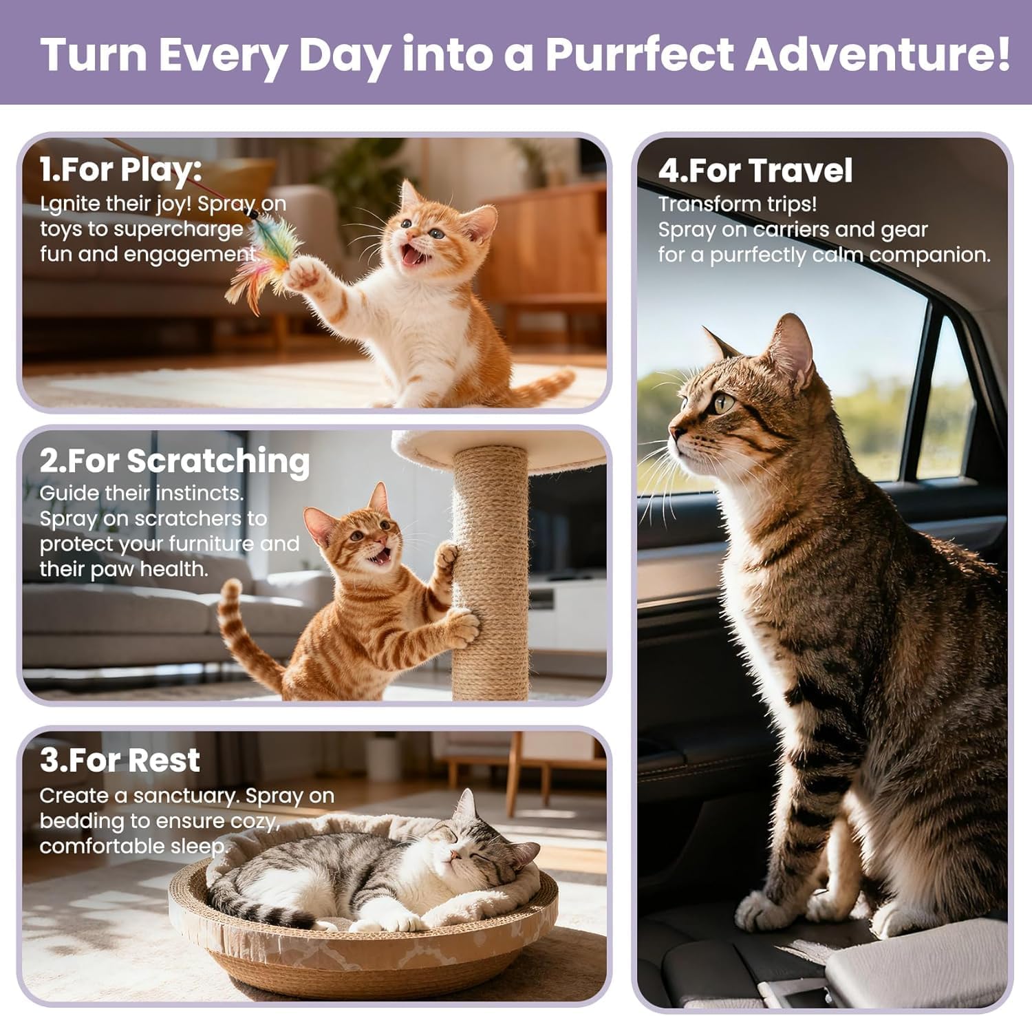 Catnip Spray for Cats, 100% Natural Catnip Mist Spray for Cats & Kittens, Relieves Stress, Calming, Safe for Pets - 2 Fl Oz - Happypetzone.online - Image 5