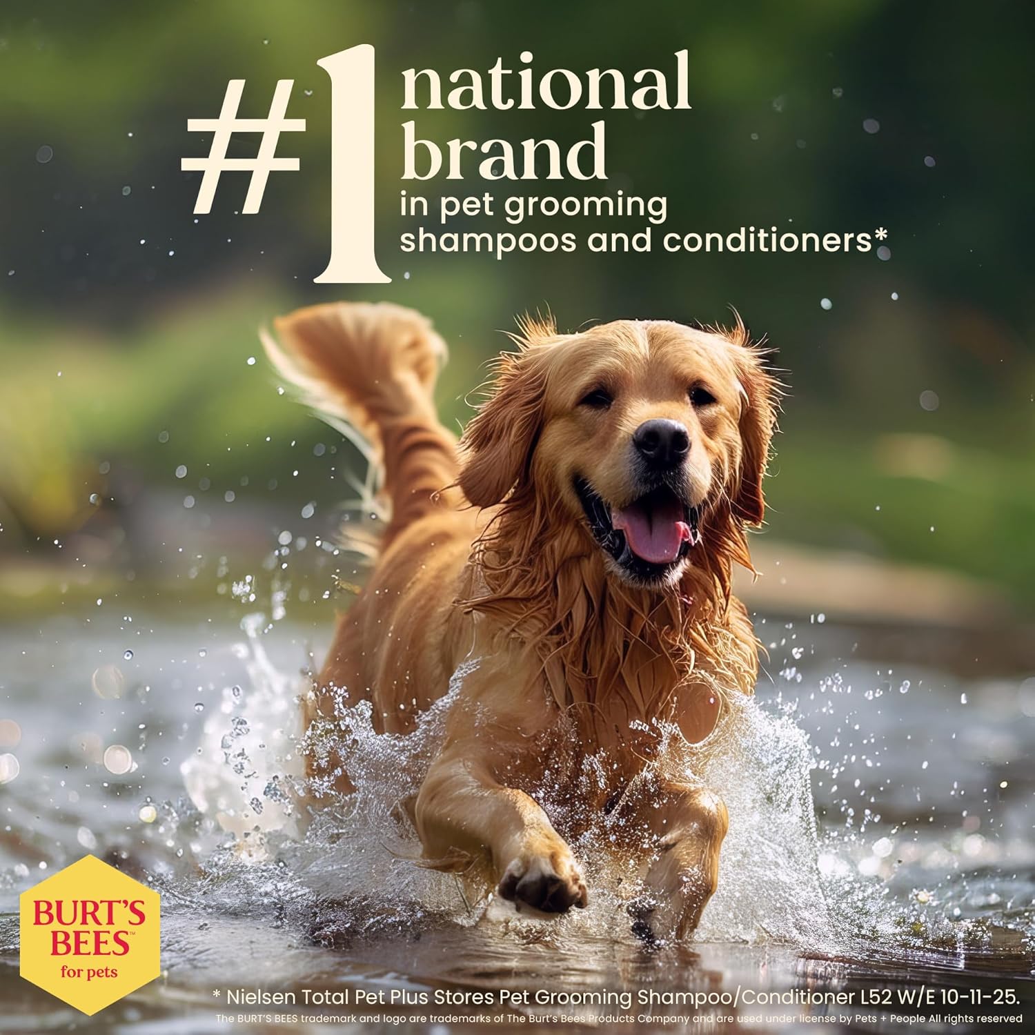 Burt's Bees for Pets Natural Ear Cleaner for Dogs with Peppermint and Witch Hazel, 99.7% Natural Origin Formula, Dog Ear Cleaning Solution for Dogs and Puppies, 4 Fl Oz - 2 Pack - Happypetzone.online - Image 4