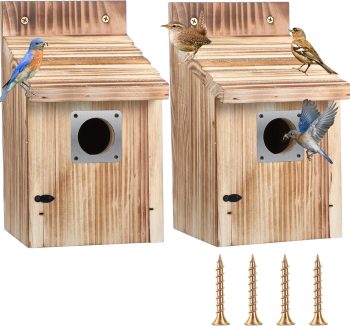 bird sanitation products
