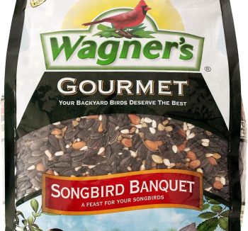 premium bird food