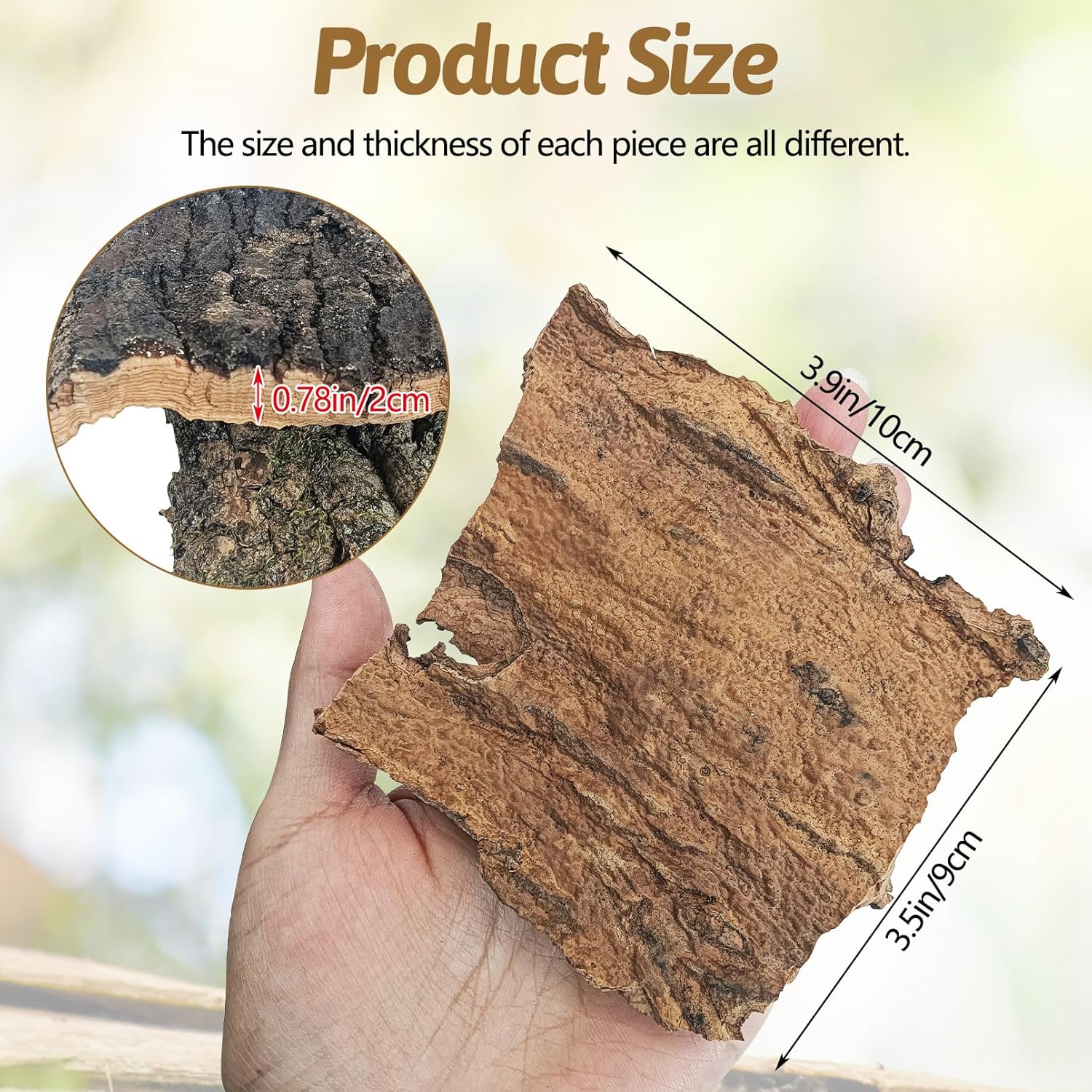 BNOSDM Reptile Cork Bark Substrate 1LB Tortoise Bedding for Habitat Natural Flat Cork Wood Bulk Terrarium Reusable Champagne Bark for Lizard, Crested Gecko, Spider, Chameleon, Ball Python, Tree Frog - Happypetzone.online - Image 2