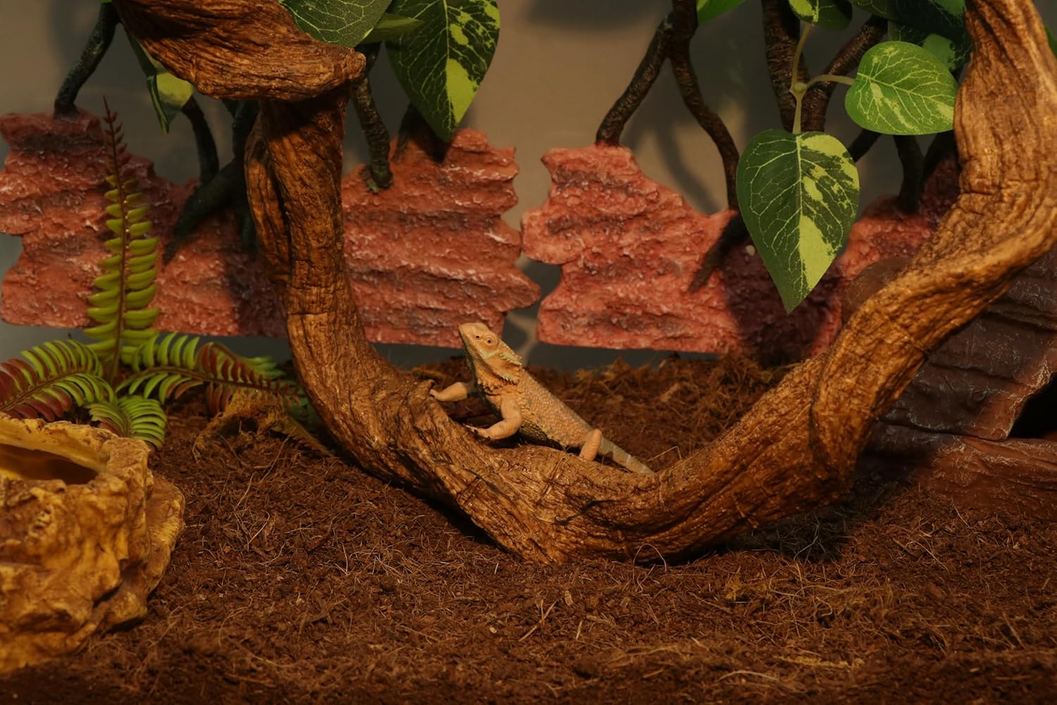 AQUA KT Reptile Twist Climber Vine Bendable Branch for Lizard Snake Bearded Dragon Crested Gecko Climbing Accessory Terrarium Habitat Decoration - Happypetzone.online - Image 2