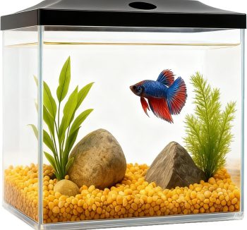 fish tank cheap amazon