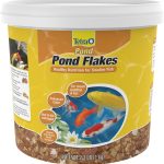 fish food flakes