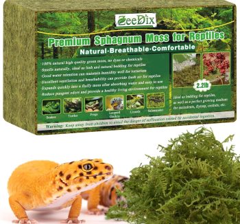 reptile substrate for humidity