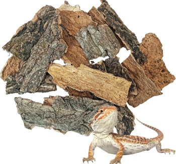 reptile natural habitat bedding