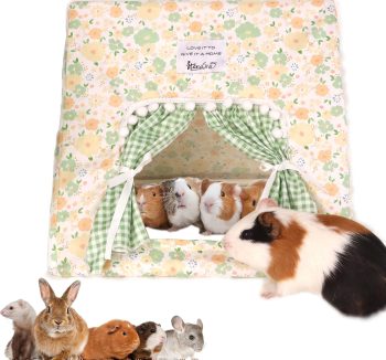 guinea pig hideout house
