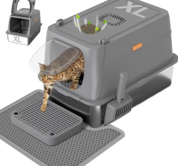 cat litter box anti smell