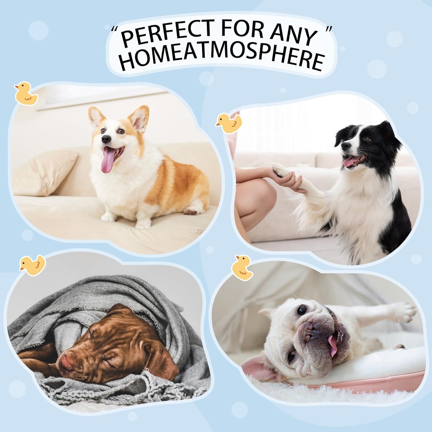 Paiaite Dog Pajamas Onesie: Comfortable Four-Legged Apparel for Small, Medium, & Large Dogs, Polyester Material for Comfort, Wrinkle Resistance, Moisture Wicking, and Stretchiness Yellow Duck S - Happypetzone.online - Image 7