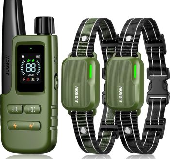 dog training collar