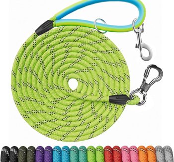 cat leash training