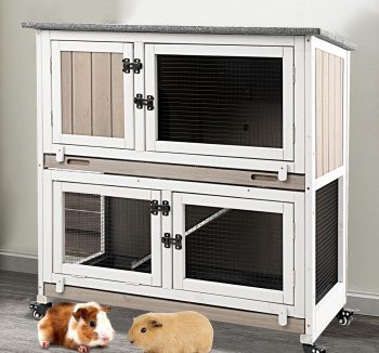 guinea pig cage large