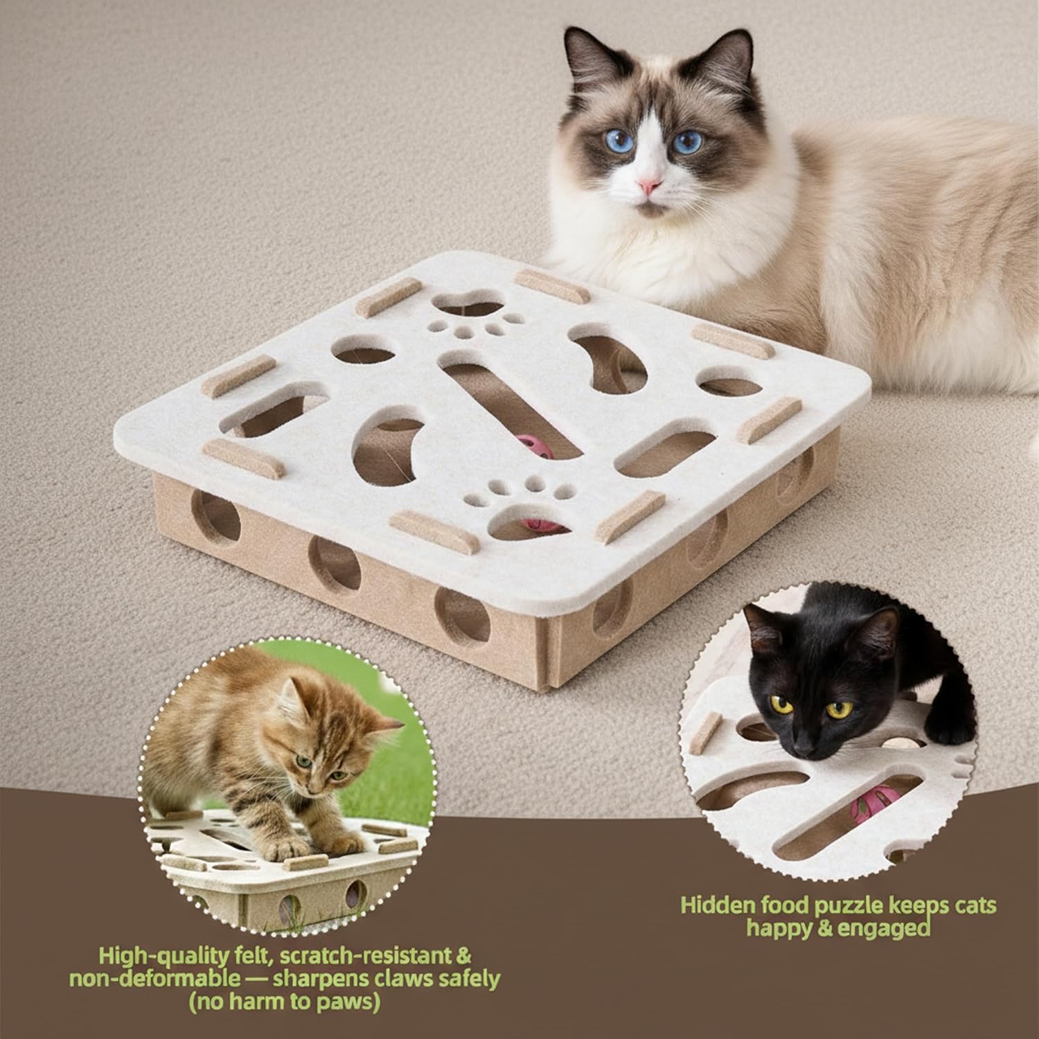 cat treats for kittens