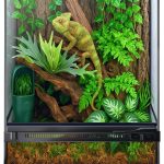 lizard terrarium setup