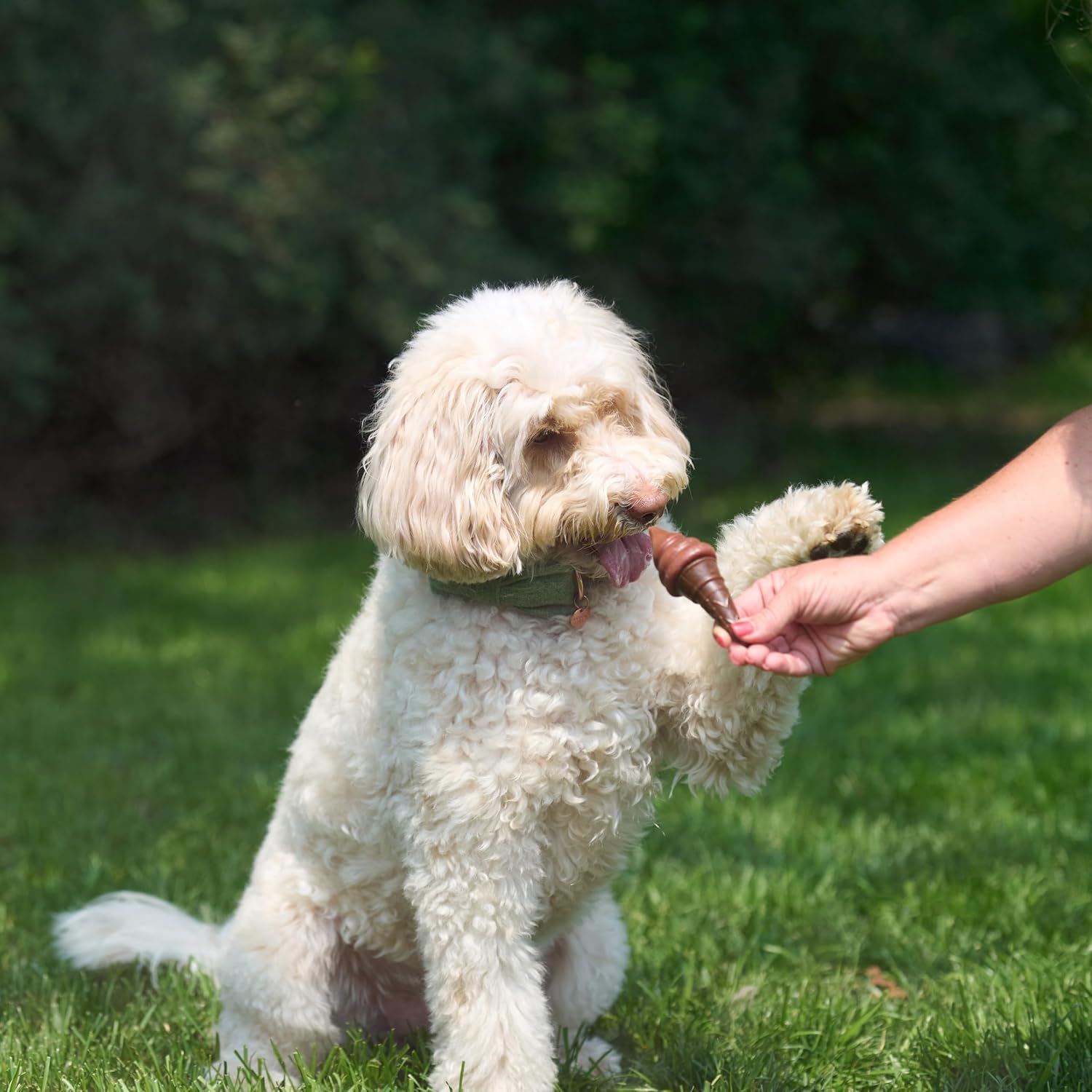 SPOT Pup Ice- Ready to Freeze at Home Dog Treats-Edible Chews for Medium Breed Dogs & Puppies with Real Chicken to Keep Your Pup Cool Year Round, Waffle Cone Strawberry Flavor, 2pcs - Happypetzone.online - Image 10